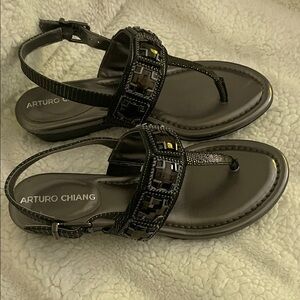 Arturo Chiang embellished sandals